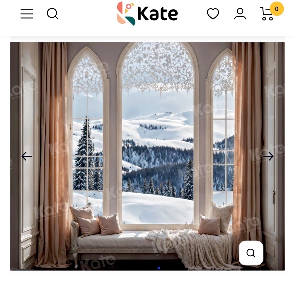 ***SOLD Kate Backdrop 10x10 Winter Room Photography Backdrop